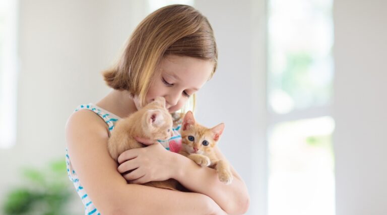 Supporting Children’s Emotional Development Through Animal-Assisted Therapy